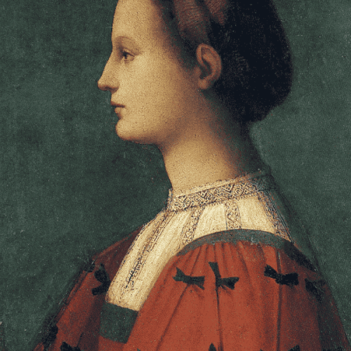 Andrea Piccinelli detto Il Brescianino (1486-1527) - Ritratto di donna - (CAT.N.17)