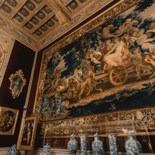 visita collezione cagnola